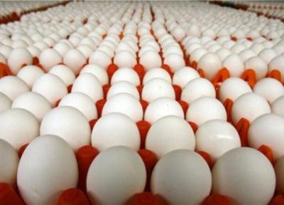 تولیدکنندگان تخم مرغ موظف به رعایت قیمت مصوب هستند